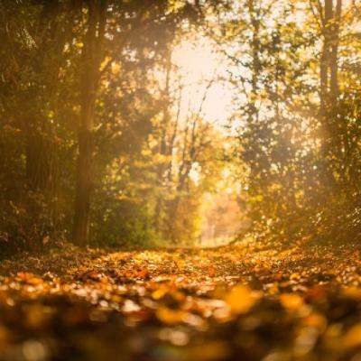 三国快打电脑版4